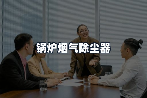 锅炉烟气除尘器